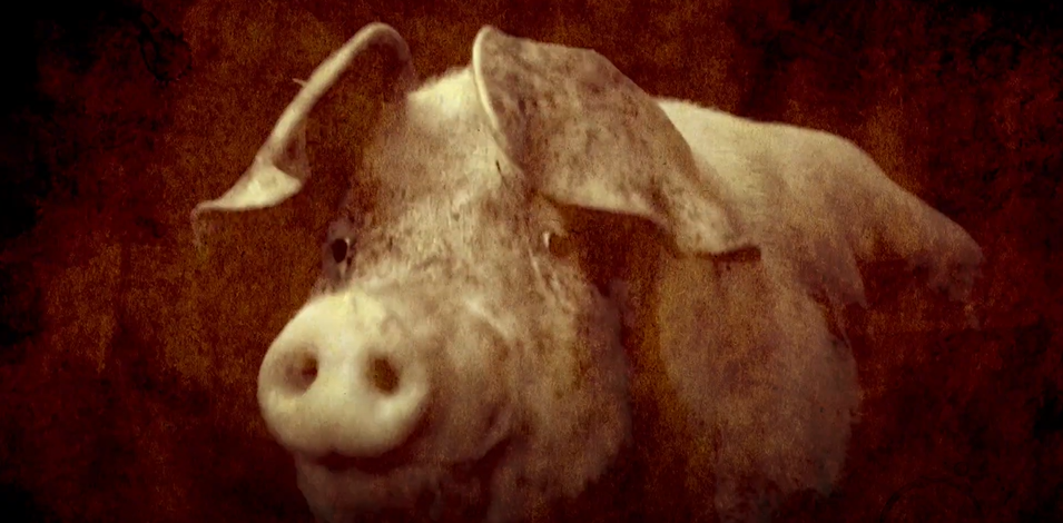 Loosveld butcher, cheese shop (commercial, promotional video)