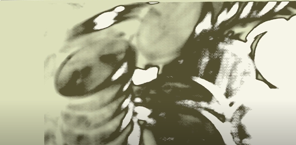 Materialism (short experimental film)